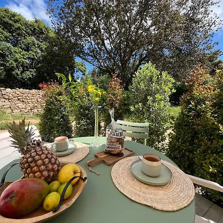 Rez-de-villa Avec Terrasse Privative Sur Jardin 阿雅克肖
