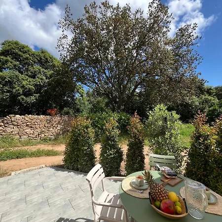 Rez-de-villa Avec Terrasse Privative Sur Jardin Apartment